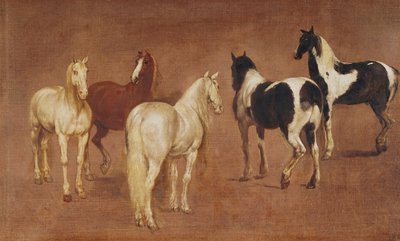 Studio di cinque cavalli da Adam Frans van der Meulen