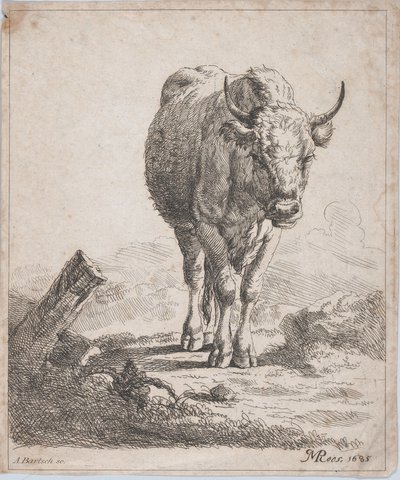Una mucca vista di fronte, 1805 da Adam von Bartsch