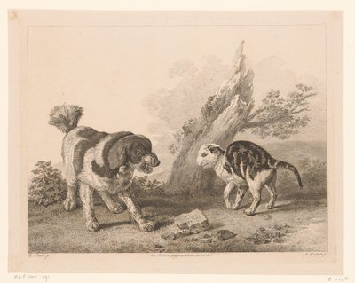 Cane e gatto in posizione di combattimento (serie: Animali dai dipinti di maestri olandesi) da Adam von Bartsch