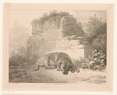 Cane che dorme davanti a un muro da Adam von Bartsch