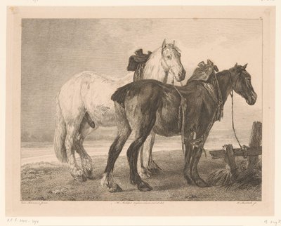 Due cavalli in un paesaggio fluviale da Adam von Bartsch
