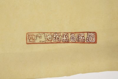 Disegno da un vaso Belize (ex Honduras Britannico) realizzato su carta da lucido da Adela Breton