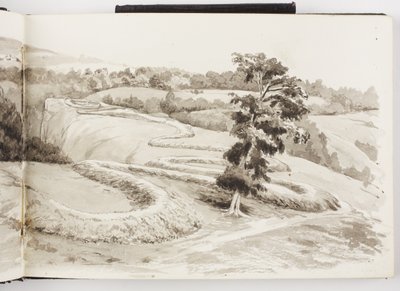 Taccuino di disegni a inchiostro e grafite e acquerelli da Adela Breton