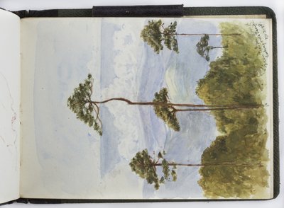 Taccuino di acquerelli, disegni e appunti, Messico, 1896-1898 da Adela Breton