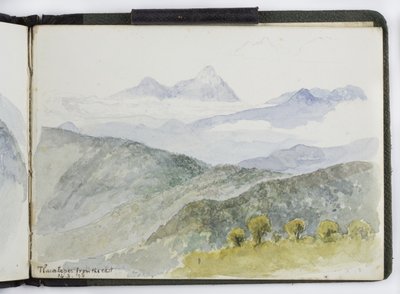 Taccuino di acquerelli, disegni e appunti, Messico, 1896-1898 da Adela Breton