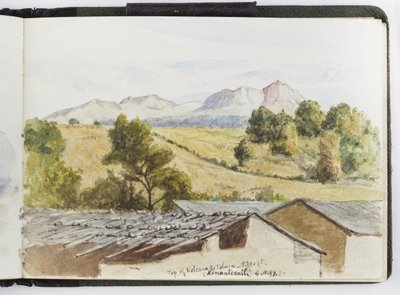 Taccuino di acquerelli, disegni e appunti, Messico, 1896-1898 da Adela Breton