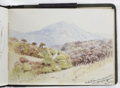 Taccuino di acquerelli, disegni e appunti, Messico, 1896-1898 da Adela Breton