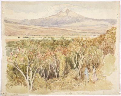 Il vulcano Popocatépetl da Yautepec, Stato di Morelos, Messico da Adela Breton