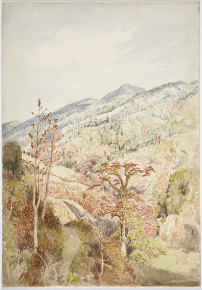 Valle boscosa - Cuetzalan, Puebla, Golfo del Messico da Adela Breton