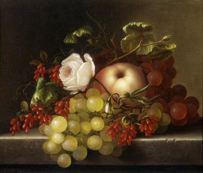Natura morta con pesca, uva e cinorrodi, 1865 da Adelheid Dietrich