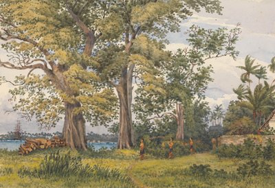 Baia di Apia, Upolu, Isole dei Navigatori, [Samoa] dalla veranda dei miei alloggi malati, 6 novembre 1849 da Admiral Sir Edward Gennys Fanshawe