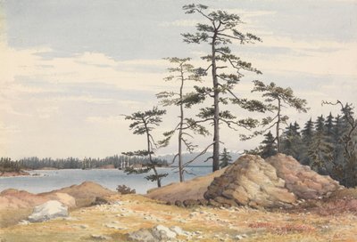 Esquimalt Harbour, Isola di Vancouver, 28 giugno 1851 [Canada] da Admiral Sir Edward Gennys Fanshawe