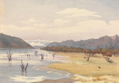 Lago di Acoleo, Cile, 11 gennaio 1851 da Admiral Sir Edward Gennys Fanshawe