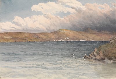 Insediamento a Port Stanley, Isole Falkland, maggio 1849 da Admiral Sir Edward Gennys Fanshawe