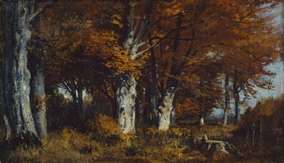 Bosco di faggi in autunno da Adolf Heinrich Lier