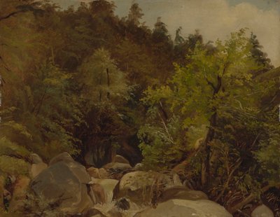 Cascata vicino a Ohlstadt da Adolf Heinrich Lier