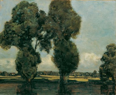 Pioppi bianchi da Adolf Holzel