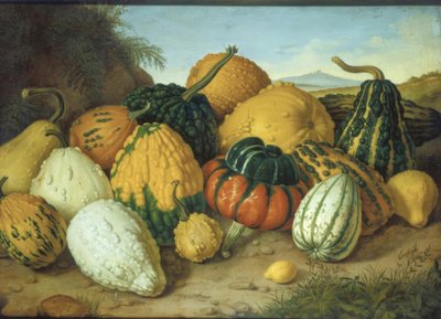 Grande natura morta con zucche da Adolf Senff