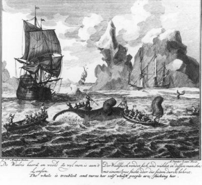 «La balena si gira e si dibatte mentre la si scuoia» (n. 6 della serie sulla caccia alla balena) da Adolf van der Laan