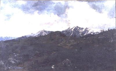 Pascoli alpini da Adolf von Meckel