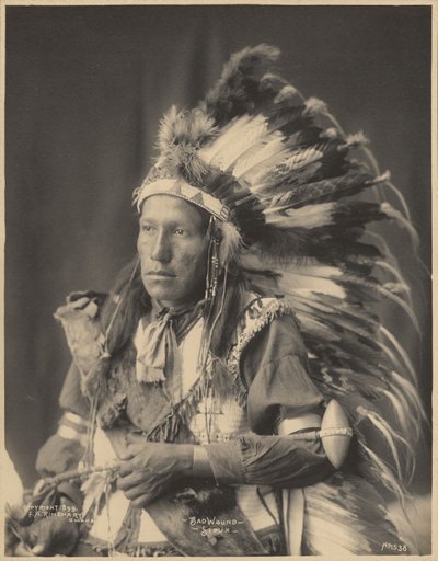 Brutta ferita, Sioux da Adolph F. Muhr