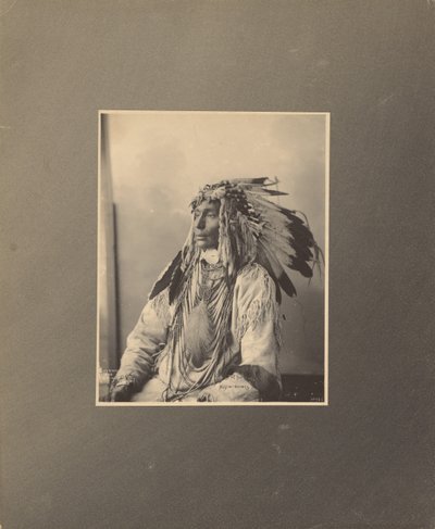 Uccidere il cavallo maculato, Assiniboines da Adolph F. Muhr