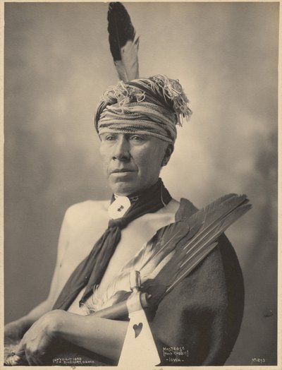 Mosteose (Coniglio Santo), Iowa da Adolph F. Muhr