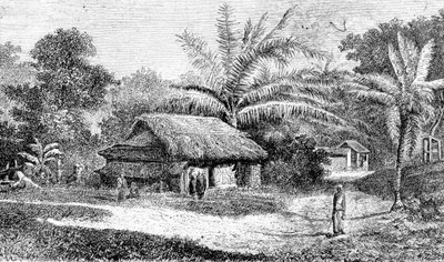 Villaggio nella valle di Colombo, Sri Lanka da Adolph Hermann & Robert (after) Schlagintweit