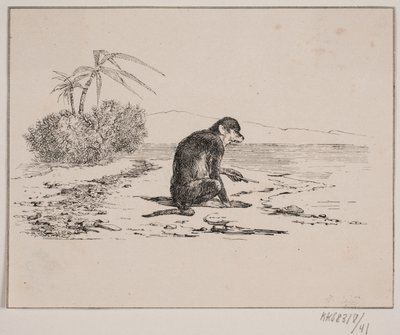 Abekatten da Johan Adolph Kittendorff