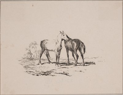 I due cavalli da Johan Adolph Kittendorff
