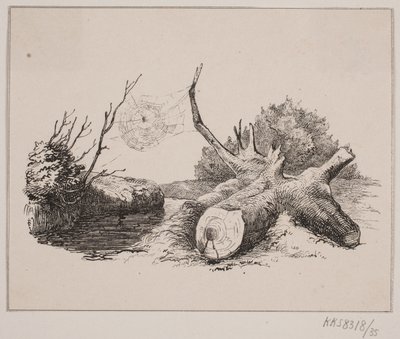 Il ragno da Johan Adolph Kittendorff