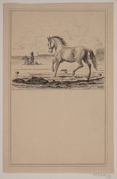 Il cavallo nell