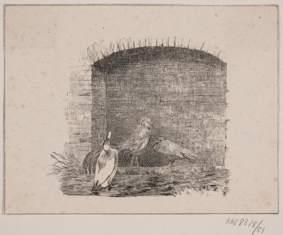 Galline e anatre da Johan Adolph Kittendorff