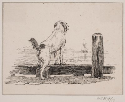 Cane sulla spiaggia da Johan Adolph Kittendorff