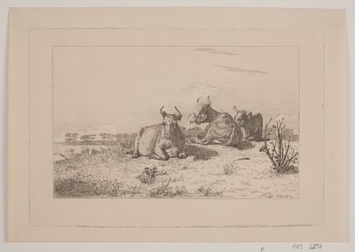 Mucche riposanti da Johan Adolph Kittendorff