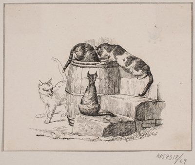 I gatti da Johan Adolph Kittendorff