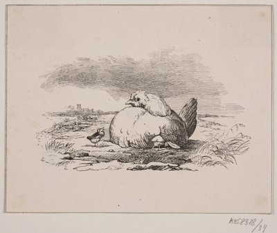 I pulcini da Johan Adolph Kittendorff