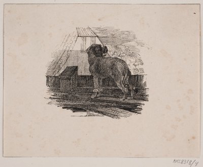 Il barboncino da Johan Adolph Kittendorff
