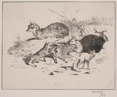 La volpe da Johan Adolph Kittendorff