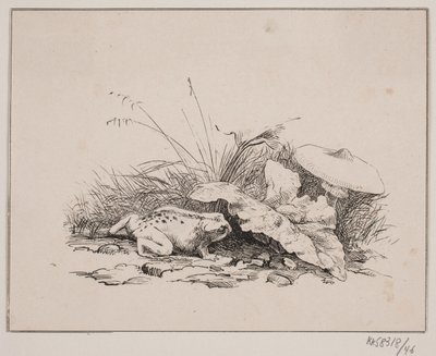 Il rospo da Johan Adolph Kittendorff