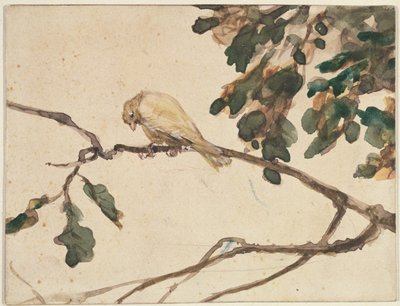 Canarino su un ramo di quercia da Adolph Menzel