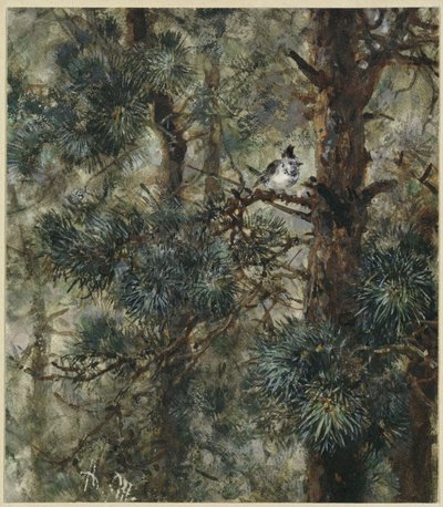  da Adolph Menzel