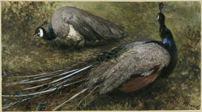  da Adolph Menzel