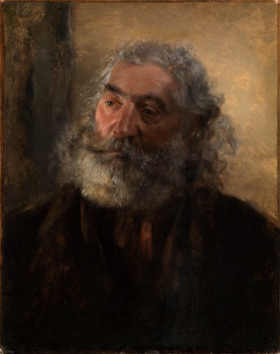 Studio della testa da Adolph Menzel