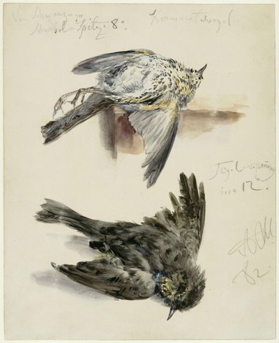  da Adolph Menzel