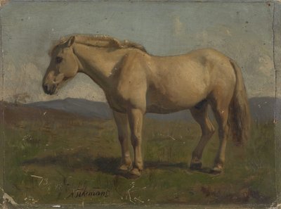  da Adolph Tidemand