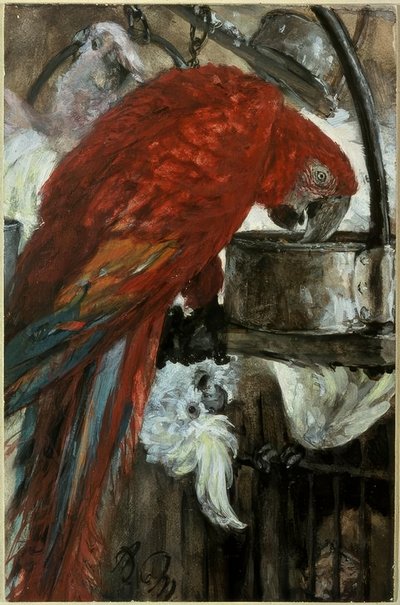 Ara e cacatua da Adolph Menzel