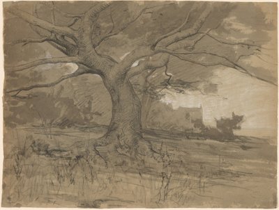 Un Grande Faggio al Margine di un Bosco da Adolphe Appian