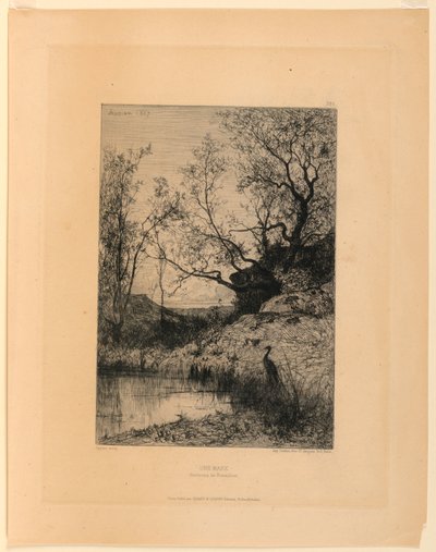 Una pozza (Dintorni di Rossilon) da Adolphe Appian