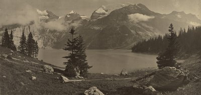 [Paesaggio alpino] da Adolphe Braun